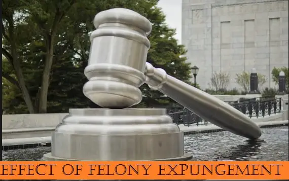 Effect Of Felony Expungement: