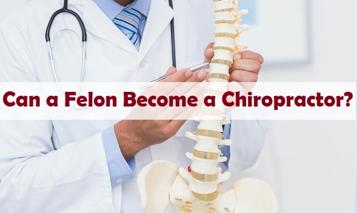 Can a Felon Become a Chiropractor?