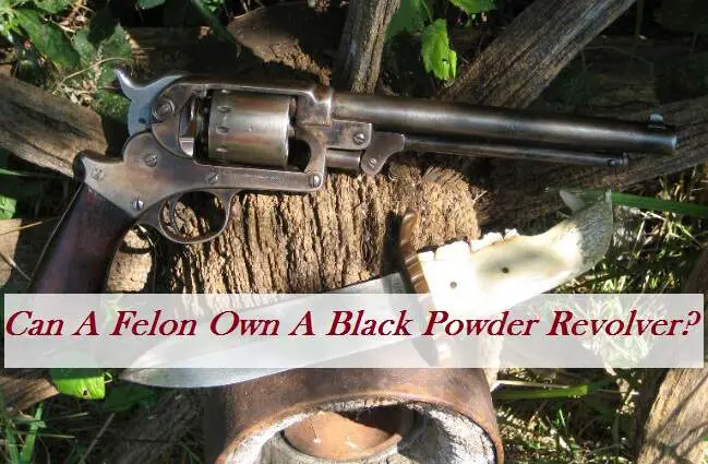 Can A Felon Own A Black Powder Revolver
