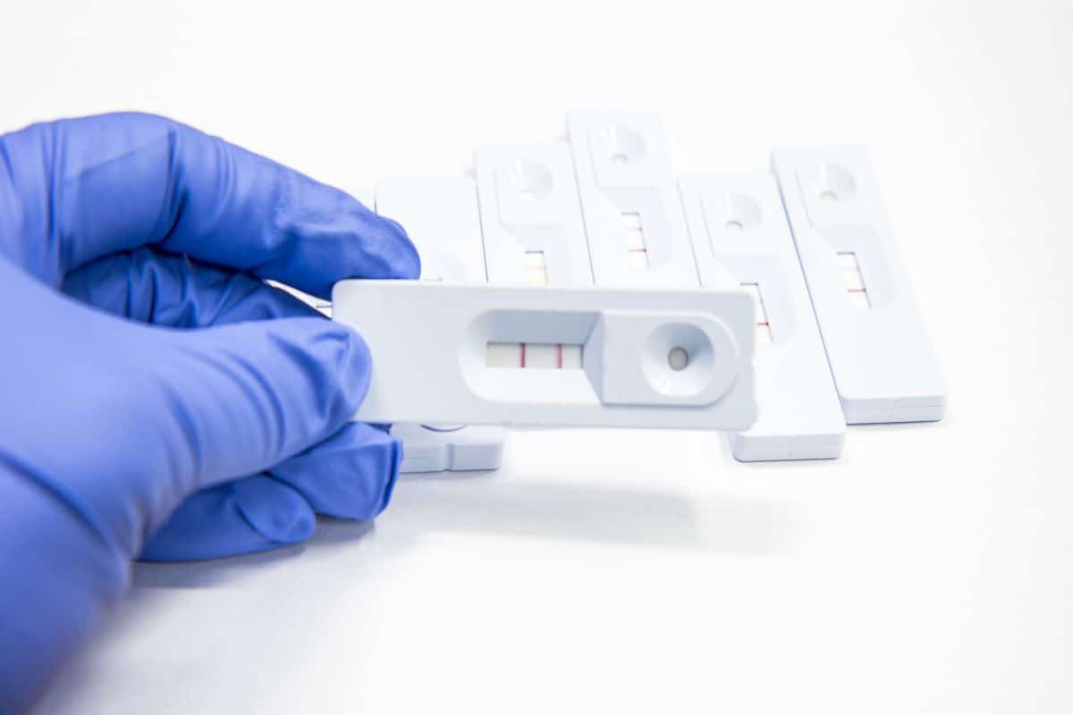 Can Drug Test Detect Pregnancy Is It Accurate 